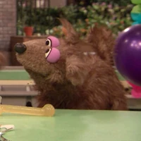 dog twin in Episode 4231