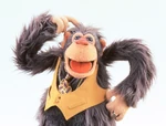 Sal Minella