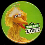 Sesamestreetlivebuttonbb