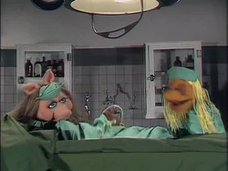 TMS-ep120-Dr. Bob Goof