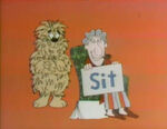 SIT: Man and Dog