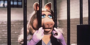 Miss Piggy stuck in the big house.