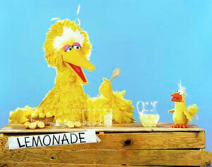 Big Bird and Little Bird lemonade