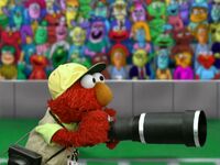 Sports Photographer Elmo's World: Cameras