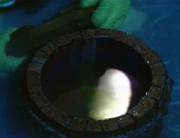 Moon.captured.jpg (11 KB) Gobo Fraggle Fraggle Rock "Capture the Moon"