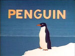 Consonant Sound: P - Penguin (holdover from season 9)