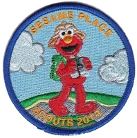 Scouts patch, 2013