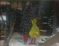 Big Bird and Patty gaze upon the Christmas Tree in the arbor.