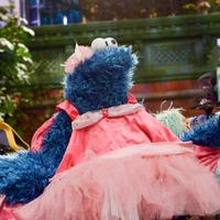 4629-CMtutu.jpg (512 KB)