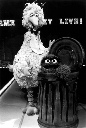 BigBirdOscartheGrouchSSL1981.jpg