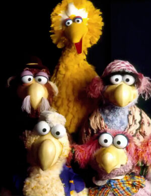 Big Bird and Dodos