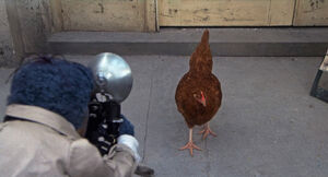 GMC-Chicken.jpg