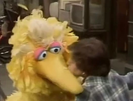 Linda Bove (Linda) & Big BirdSesame Street Episode 0956