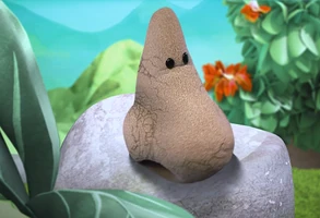 Nose McDonald