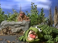 Alligators by the road