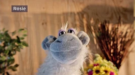 Rosie, a sheep in the Muppets Now episode "Due Date"