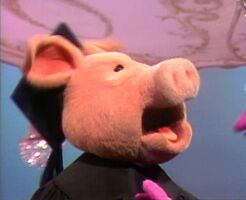 A pig in The Muppet Show episode 305