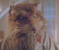 Splinter in Teenage Mutant Ninja Turtles