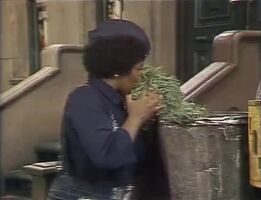 Loretta Long (Susan) & OscarSesame Street Episode 1427