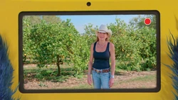 FoodieTruck-Orange02