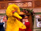 Episode 201: A Big Bird Surprise