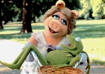 GMC-Bikes-Basket2.jpg (141 KB)