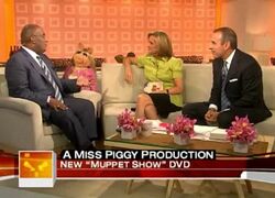 Piggytoday2007.jpg