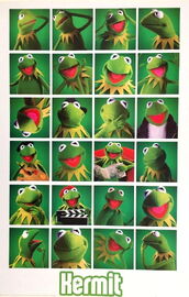 Kermit Collage Germany, 2010