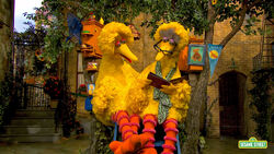 SSIC-Bird&Granny-1.jpg