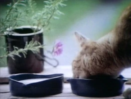 Song.EverybodyEats.jpg (233 KB) "Everybody Eats"