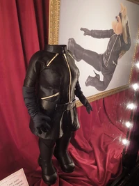 Spandex2.jpg (103 KB)