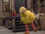 Big Bird Shannon Counting 1-10 (holdover from season 16)