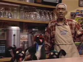 French penguin in Episode 3489