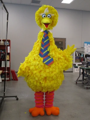 Big Bird Vstar Walk-Around