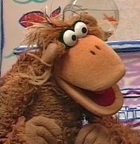 monkey in Elmo's World: Bananas