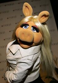 Piggy arrives.jpg (54 KB) Piggy arriving on the red carpet