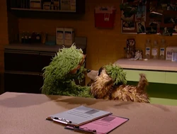 "I've Grown Accustomed to Her Fur"