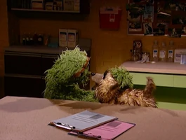 "I've Grown Accustomed to Her Fur"