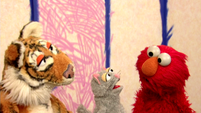 Elmo's World: Cats (short version) (uses season 36 footage)