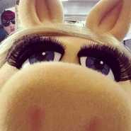 Miss Piggy on GMA