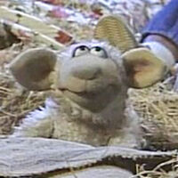 sheep in Sleepy Sheepy