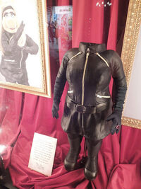 Spandex1.jpg (135 KB)