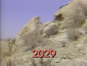 2029