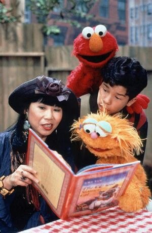 Amy Tan Sesame Street