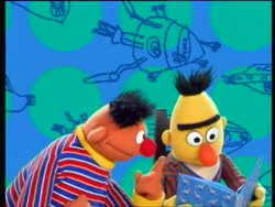 PigeonPatternIntro HSPM