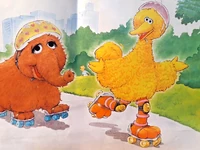 What Big Bird's Toes Know 1994