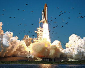 Space Shuttle Challenger STS-51-L.jpg