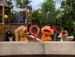 Animals help Zoe count to 9 Episode 3371