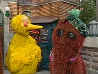Episode 3551After purchasing a hat Snuffy claims to have needed to get for his mommy, she then arrives and Big Bird presents it to her, though she has no idea what they're talking about.