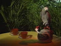 4090zl.jpg (106 KB) A parrot counts 2 (First: Episode 3108)